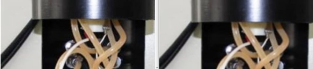 Zoomed photograph detail after Word compression